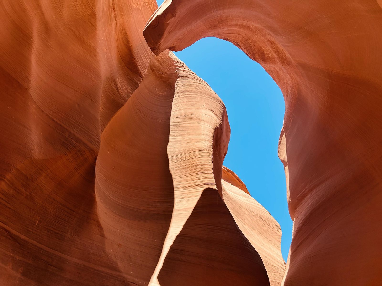 Smooth, wave-like sandstone walls rising to a narrow strip of sky